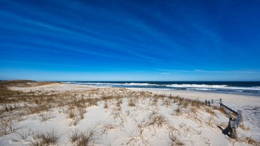 Island Beach State Park, Berkely, New Jersey 'deki en büyük gelişmemiş bariyer adasıdır..