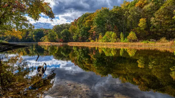 High Bridge, New Jersey yakınlarında Sonbaharda Yalnızlık Gölü.
