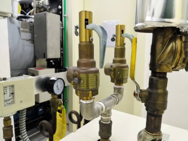 Buhar Üreticisine Bağlı Buhar Güvenliği Valflerinin Kapalı Görüntüsü