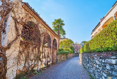 Eski taş Via delle Cappelle, uzun çitler, çalılar ve üzümlerle kaplı, Ascona, İsviçre