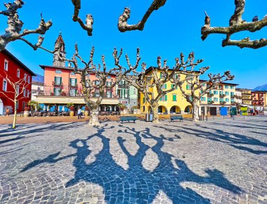 Yürüme yolu yayılmış çınar ağaçlarıyla, Piazza Giuseppe Motta, Ascona, İsviçre kaldırımının gölgesini sağlar.