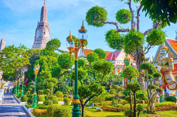 Mały Ogród Ozdobny Przyciętymi Drzewami Krzewami Kompleksie Wat Arun Bangkok — Zdjęcie stockowe