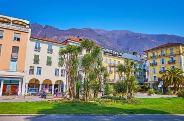 Largo Franco Zorzi 'deki bahçe yatağında yeşil çimenler, yuckalar ve palmiyeler. Eski kasaba, Locarno, İsviçre.