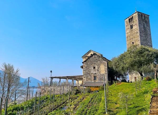 瑞士洛迦诺中世纪圣基里科教堂高大钟楼前的小厨房花园 — 图库照片