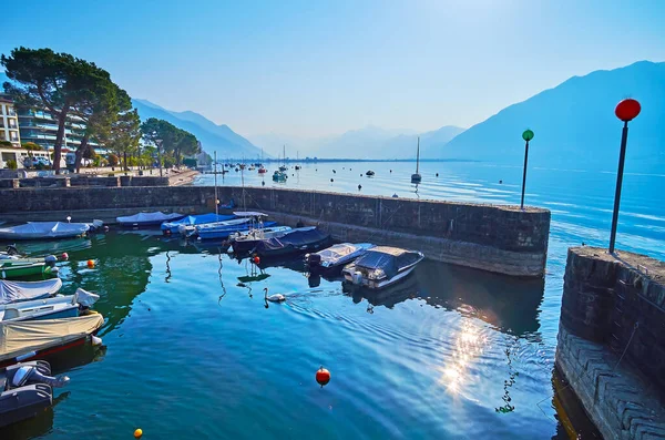 瑞士洛迦诺Maggiore湖Muralto堤前的一个小港口 停泊有停泊的船只和雾蒙蒙的阿尔卑斯山 — 图库照片