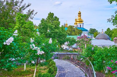 Kyiv Pechersk Lavra Mağara Manastırı, Kyiv, Ukrayna 'nın çiçek açan leylak bahçesinde yürü