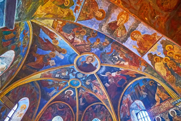 Kyiv Ukraine May 2021 Frescoed Lib Vaulted Ceiling Saviour Berestove — 스톡 사진