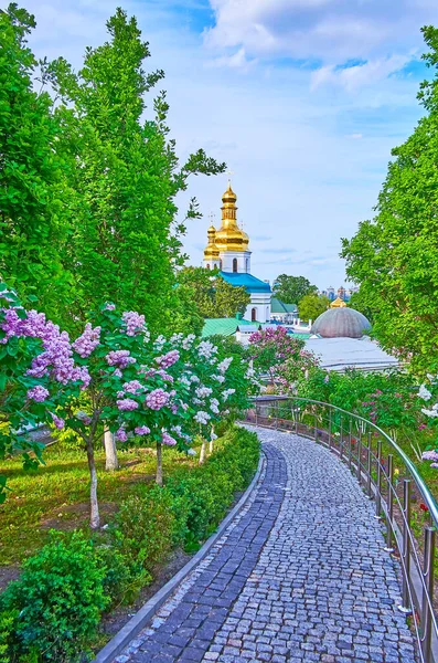 Hermoso Jardín Lila Los Terrenos Del Monasterio Cueva Kiev Pechersk — Foto de Stock