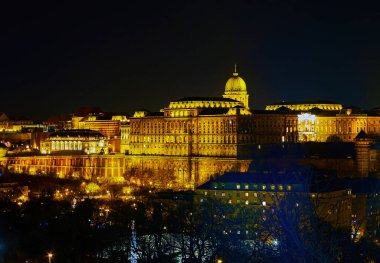 Budapeşte, Macaristan 'da gece aydınlatmasıyla tepenin üstündeki Buda Şatosu