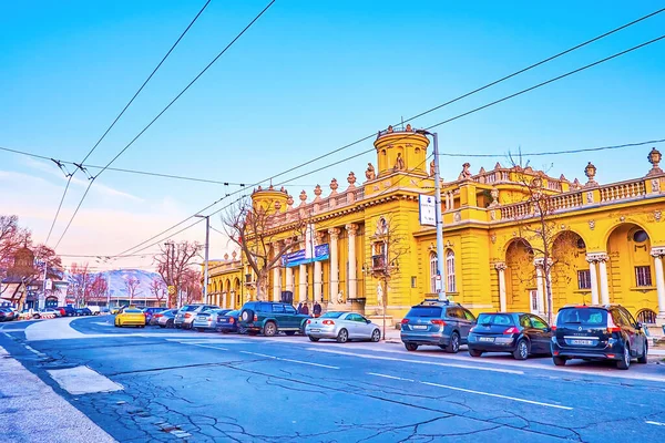 Budapest Hungary Mart 2022 Szechenyi Termal Spa Yol Boyunca Araba — Stok fotoğraf