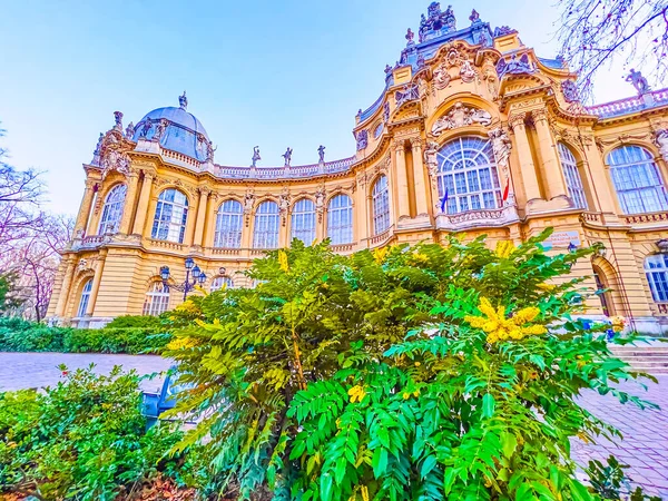 Edificio Histórico Del Museo Agrícola Vegetación Del Parque Ciudad Budapest — Foto de Stock