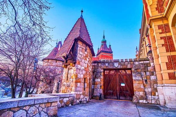 Portões Laterais Torre Pedra Com Telhado Madeira Castelo Vajdahunyad Budapeste — Fotografia de Stock