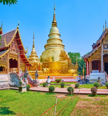 Wat Phra Singh temple complex with golden Phra That Luang chedi (stupa) and Viharn Lai Kham pavilion with gable roof, fine carved and painted details, Chiang Mai, Thailand