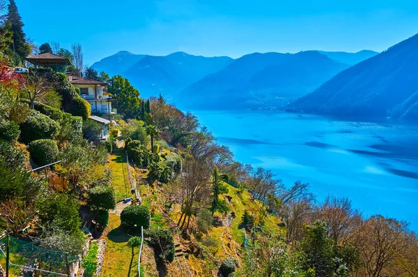 The green mountain slope, covered with topiary terrace gardens of Albogasio, Valsolda, Italy
