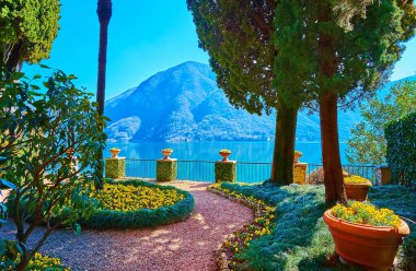 The perfectly landscaped garden of Villa Fogazzaro Roi with tall palms, cypresses, lush grasses and yellow pansies on the bank of Lake Lugano, Oria, Valsolda, Italy clipart