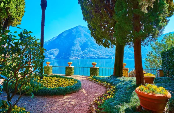 The perfectly landscaped garden of Villa Fogazzaro Roi with tall palms, cypresses, lush grasses and yellow pansies on the bank of Lake Lugano, Oria, Valsolda, Italy