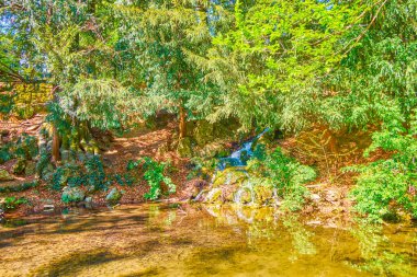 The small pond and waterfall among pine trees in Monza Royal Gardens, Italy