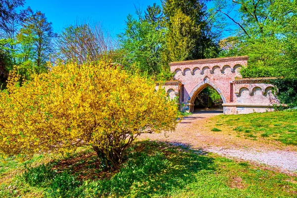意大利蒙扎皇家花园绿地中的连翘花黄色花丛和中世纪新哥特式入口 — 图库照片
