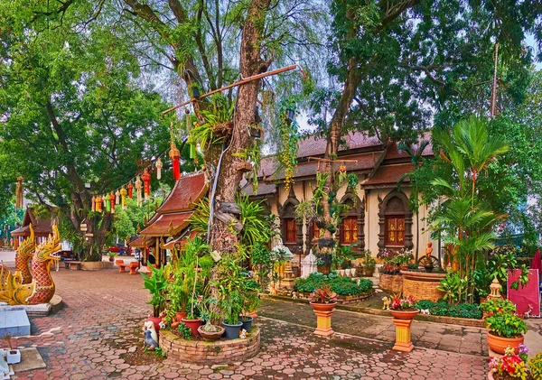 Jardin Tropical Luxuriant Wat Ket Karam Décoré Fleurs Pots Lanternes — Photo