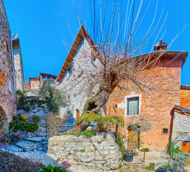 Tarihi evleri olan eski taş cadde, çiçek yatakları, yeşil bitkiler ve eğimli bir ağaç olan Albogasio, Valsolda, İtalya ile süslenmiştir.