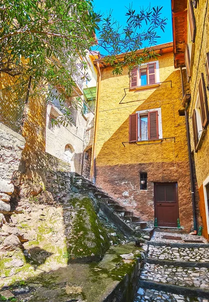 Narrow Stone Staircase Leads Mountain Top Vintae Living Houses Albogasio — Stock Photo, Image