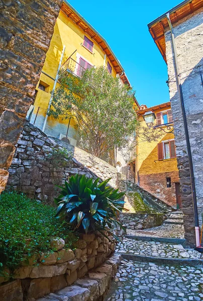Albogasio Mountain Settlement Perfect Place Day Walk Boasts Many Picturesque — Stock Photo, Image