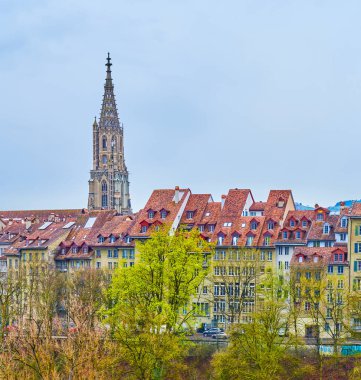 Tipik tarihi Bernese konakları, kırmızı kiremitli çatıları ve İsviçre 'nin Bern Minster kentinin yüksek çan kulesi.