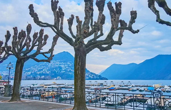 Drewniane Stocznie Łodziami Zacumowanymi Nad Jeziorem Lugano Jeziora Parco Belvedere — Zdjęcie stockowe