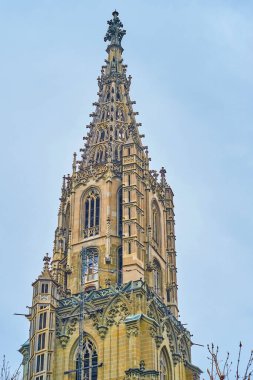 İsviçre 'deki Bern Minster Katedrali' nin taş çan kulesi.
