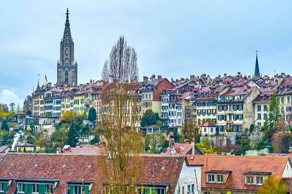 Ortaçağ şehri Bern 'de tepede eski evleri var.