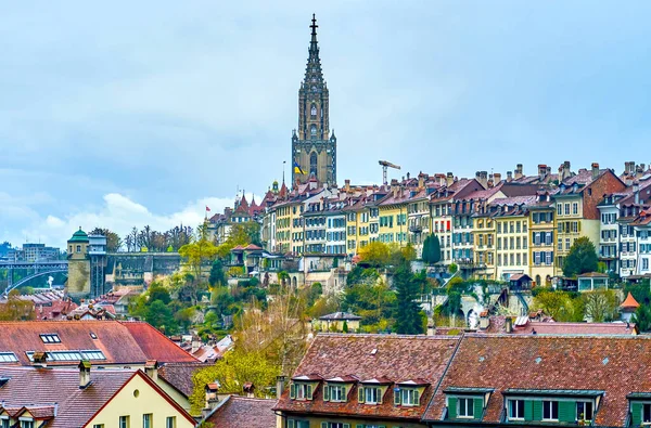 Röda Tegeltak Historiska Byggnader Gamla Bern Schweiz — Stockfoto