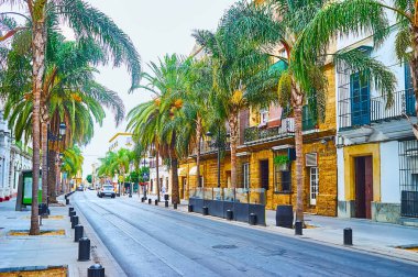 Gölgeli Avenida Micaela Aramburu de Mora, yemyeşil palmiyeler ve klasik evler ile kaplı, İspanya, El Puerto