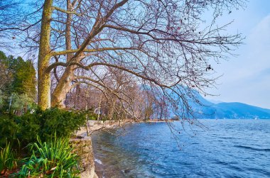 Lugano Gölü seti boyunca yemyeşil bitkilerle yürüyün, çınar ve Lugano Prealpleri arka planda, Lugano, İsviçre