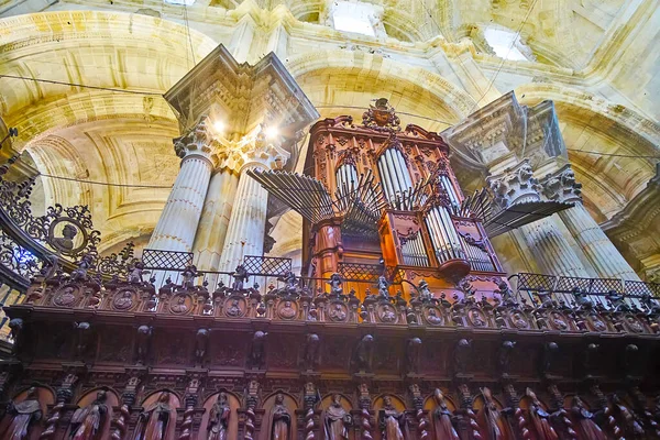 Cadiz Espanha Sept 2019 Órgão Tubo Coro Madeira Catedral Cádiz — Fotografia de Stock