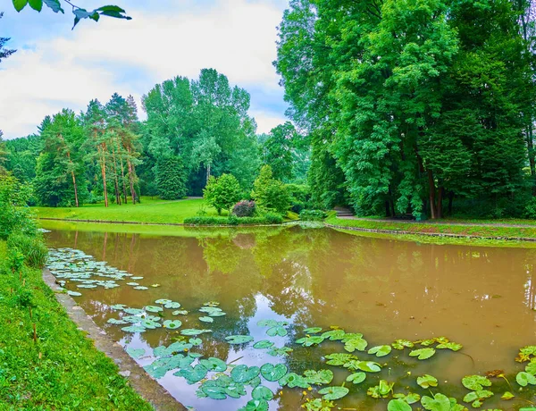 Lirios Agua Orilla Pequeño Estanque Parque Sofiyivsky Uman Ucrania —  Fotos de Stock