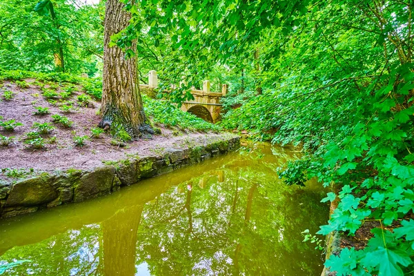 Estrecho Río Fluye Entre Vegetación Del Parque Sofiyivsky Uman Ucrania —  Fotos de Stock