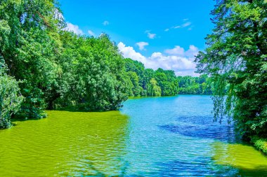 Sofiyivka Park, Uman, Ukrayna 'daki Yukarı Göl kıyısında yemyeşil ağaçlar.