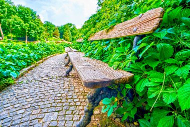 Sofiyivka Park, Uman, Ukrayna 'daki gölün kıyısındaki eski bank ve aşırı büyümüş sokak.