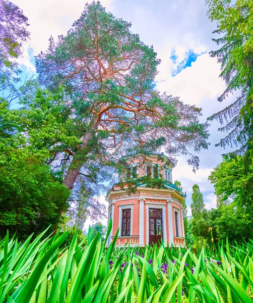 乌克兰乌曼Sofiyivka公园 从花坛的叶子和花朵看粉红亭的风景 — 图库照片