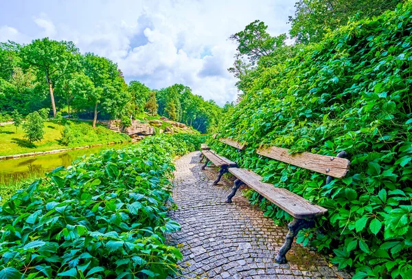 乌克兰乌曼 索菲伊夫卡公园 爱奥尼亚海湖畔茂密的海岸上一排旧长椅 — 图库照片