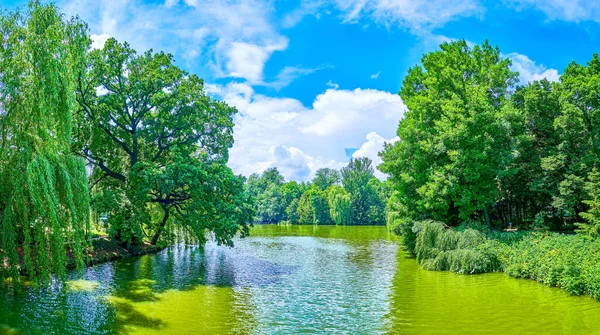 우크라이나 공원에 주변의 초목으로 둘러싸인 호수의 파노라마 스톡 사진