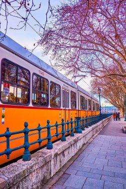 Budapeşte 'nin sarı vintage tramvayları Macaristan' ın orta kesimindeki popüler turizm merkezleri.