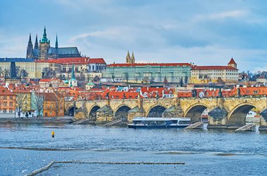 Vltava Nehri 'ndeki martılar Charles Köprüsü ve St Vitus Katedrali, Prag, Çek Cumhuriyeti' ne karşı.