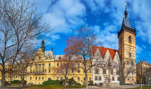 查尔斯广场全景 绿园后面有Nove Mesto市政厅和市法院 布拉格新城 — 图库照片