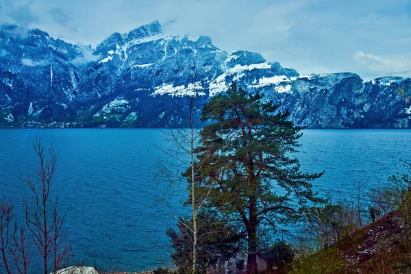 Saison Hiver Sur Alpine Lake Uri Canton Suisse — Photo