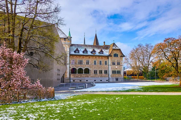 Parco Centrale Platzspitz Con Albero Magnolia Fiore Landesmuseum Zurigo Svizzera — Foto Stock