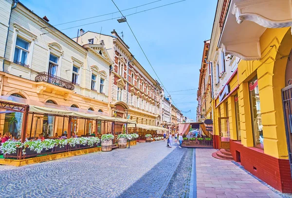 Kobylyanska Caddesi Chernivtsi Ukrayna Daki Klasik Kasaba Evlerinde Çiçeklerle Güzel — Stok fotoğraf