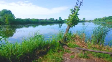 Kodnyanka Nehri 'nin Panoraması, kıyılarındaki yemyeşil ve mavi gökyüzünü yansıtıyor, Eski Solotvyn, Ukrayna