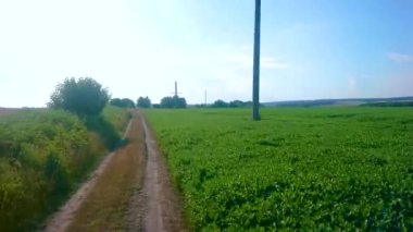 Mavi gökyüzünün altındaki sulu yeşil soya tarlası boyunca hareket, Ukrayna