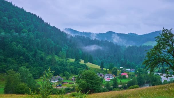 Mlhavé Deštivé Počasí Karpatech Výhledem Zelené Hory Svahy Pokryté Smrkovými — Stock video